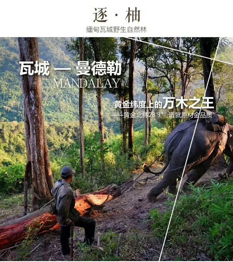 mmexport1541034234774