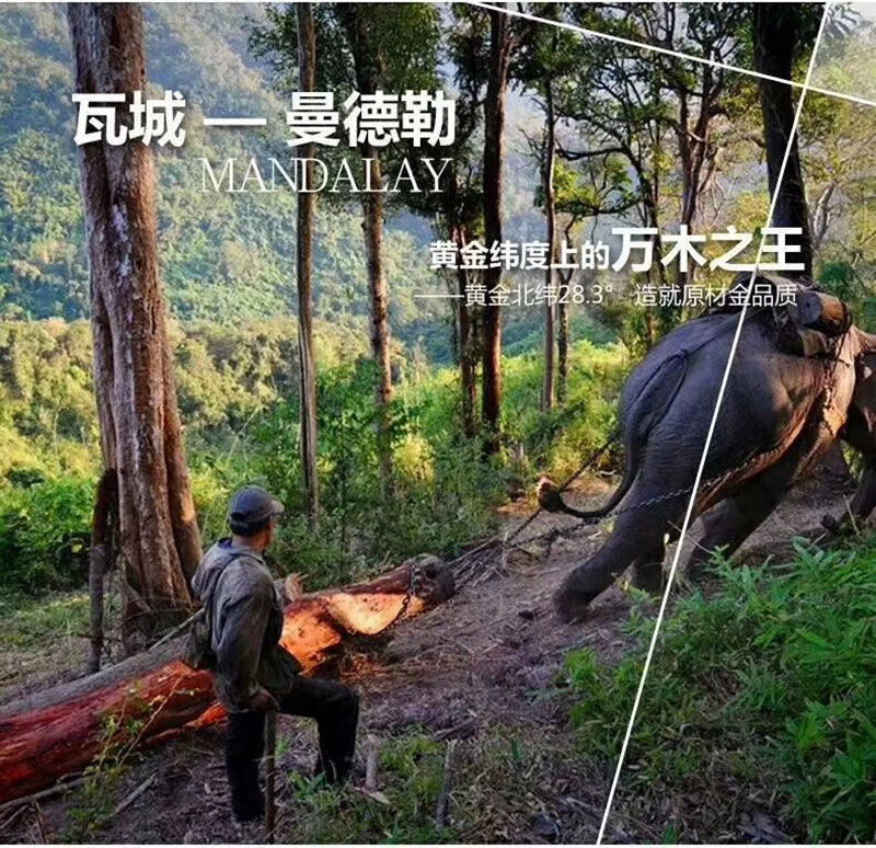 mmexport1541034234774