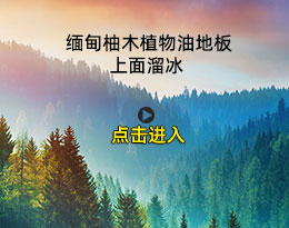 緬甸柚木手擦植物油面上溜冰