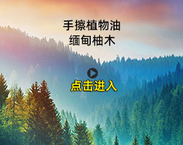 緬甸柚木手擦植物油